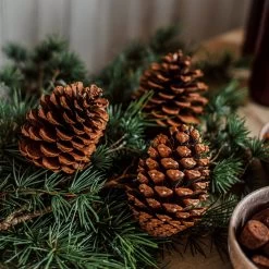 Zapfen Dekoration Groß -Heimtextilien Geschäft 401322 30310