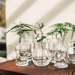 Vase Ableger H 10 Cm -Heimtextilien Geschäft 401476 33622