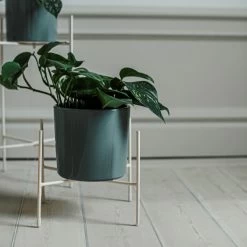 Pot Glazed 15cm Eucalyptus -Heimtextilien Geschäft 401485 31645