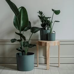 Pot Glazed 13cm Eucalyptus -Heimtextilien Geschäft 401486 31638