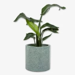 Pot Cement Terrazzo Ø27 Eucalyptus 11 Pot Cement Terrazzo Ø27 Eucalyptus -Heimtextilien Geschäft 401497 31872