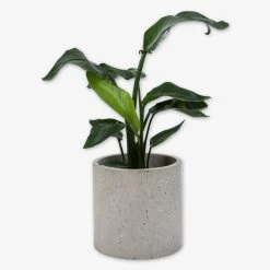 Pot Cement Terrazzo Ø27 Sand -Heimtextilien Geschäft 401499 31876