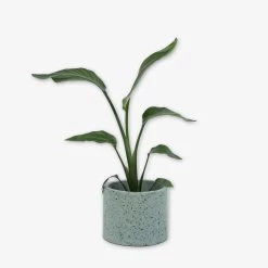 Pot Cement Terrazzo Ø19 Eucalyptus -Heimtextilien Geschäft 401500 31880