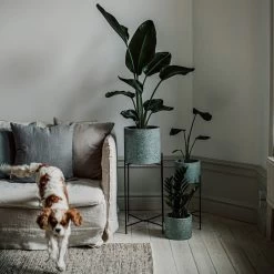 Pot Cement Terrazzo Ø19 Eucalyptus -Heimtextilien Geschäft 401500 31957