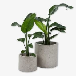 Pot Cement Terrazzo Ø19 Sand 11 Pot Cement Terrazzo Ø19 Sand -Heimtextilien Geschäft 401501 31877