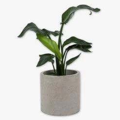 Pot Cement Ø27 Sand -Heimtextilien Geschäft 401503 31890