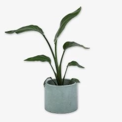 Pot Cement Ø19 Eucalyptus -Heimtextilien Geschäft 401504 31894