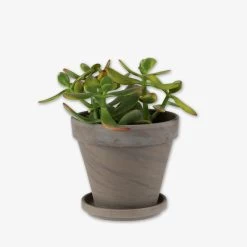 Blumentopf Terrakotta Grau Ø 13,5 Cm -Heimtextilien Geschäft 401508 30867