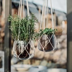 Ampel Glas Klein Natur 9 Ampel Glas Klein Natur -Heimtextilien Geschäft 401530 33848