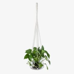 Ampel Glas Groß Natur -Heimtextilien Geschäft 401531 31910