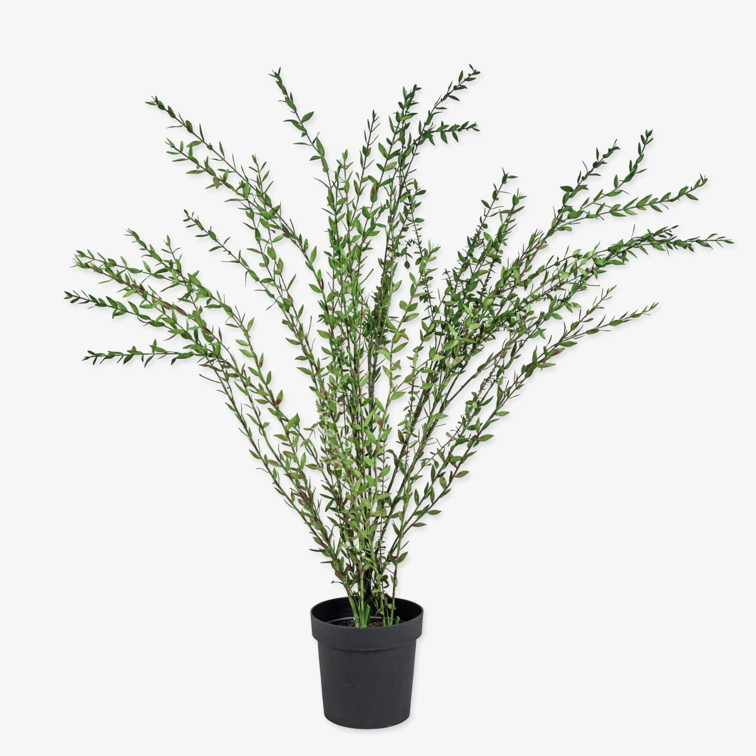 Zimmerpflanze Kunst Eukalyptus 130 Cm 3 Zimmerpflanze Kunst Eukalyptus 130 Cm