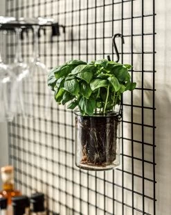 S-Haken Eisen 5 Cm 5er-Pack Schwarz -Heimtextilien Geschäft 401789 37620