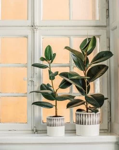 Blumentopf Stig Lindberg Diabolo 15 Cm Grau -Heimtextilien Geschäft 401973 36496