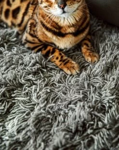 Rug Shaggy Undyed Wool 170x240 -Heimtextilien Geschäft 402305 36401