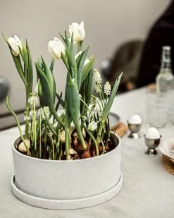 Topf/Untersetzer Polystone Niedrig Breit Weiß -Heimtextilien Geschäft 402600 38668