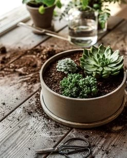 Topf/Untersetzer Polystone Niedrig Breit Grün -Heimtextilien Geschäft 402601 38522