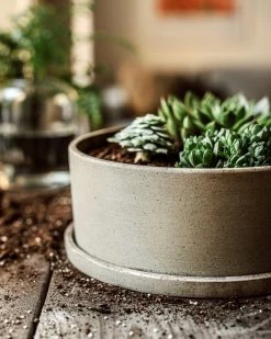 Topf/Untersetzer Polystone Niedrig Breit Grün -Heimtextilien Geschäft 402601 38524