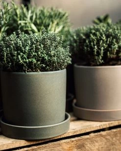 Topf/Schale Steingut 15 Cm Grün -Heimtextilien Geschäft 402678 38632