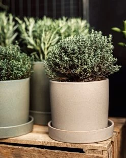 Topf/Schale Steingut 15 Cm Beige -Heimtextilien Geschäft 402679 38637