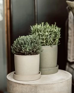 Topf/Schale Steingut 19 Cm Grün