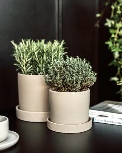 Topf/Schale Steingut 19 Cm Beige -Heimtextilien Geschäft 402681 38640