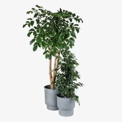 Leichter Metalltopf 32 Cm Grau -Heimtextilien Geschäft 402730 38760